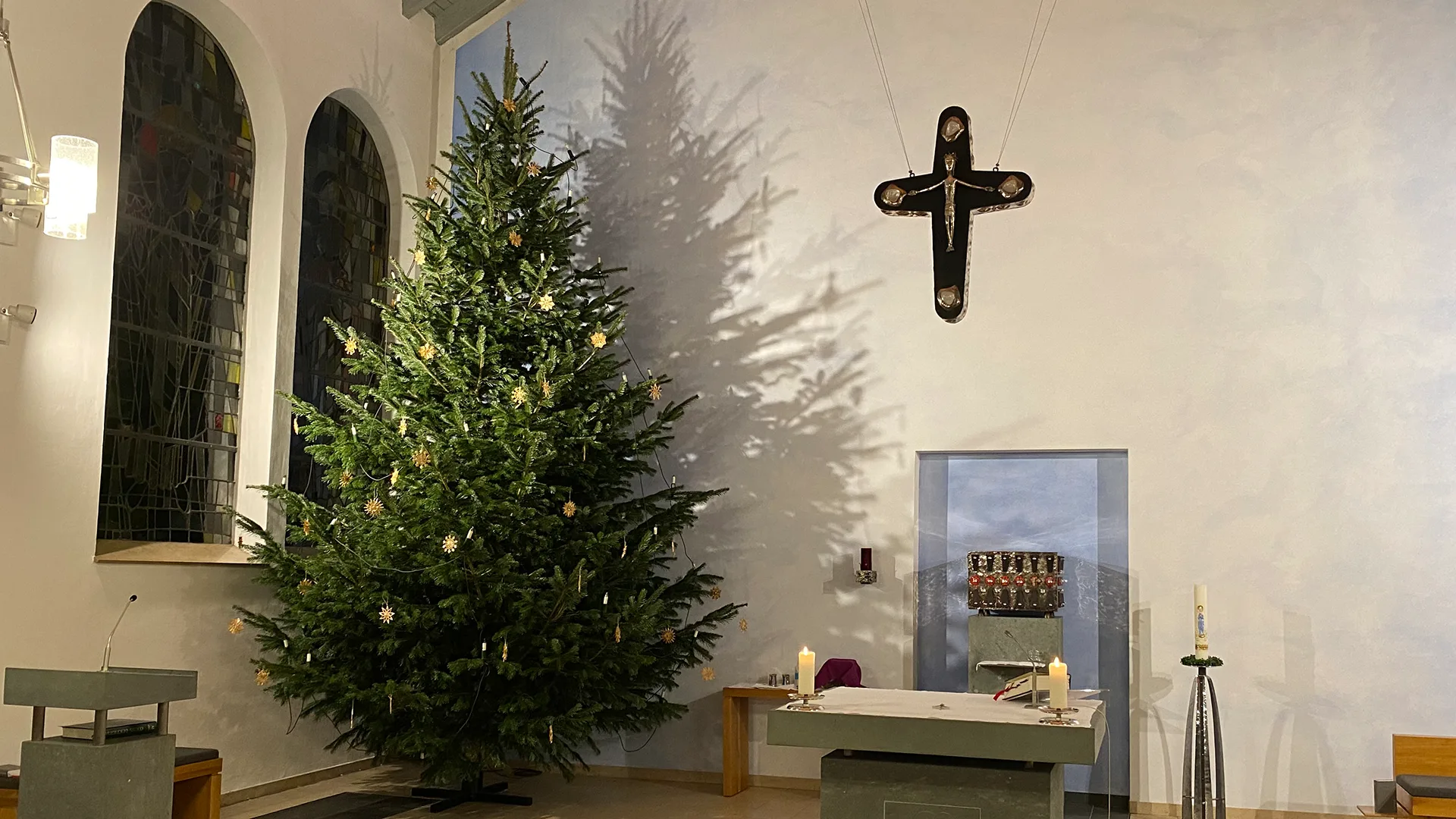 Weihnachtsbäume für Kirchen